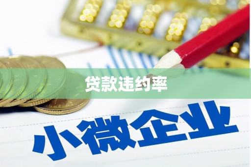 柯坪贷款违约率