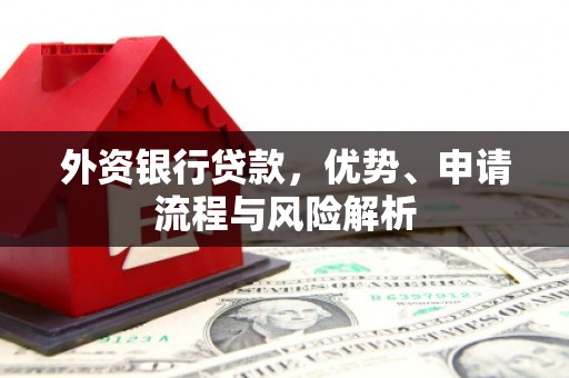 柯坪外资银行贷款，优势、申请流程与风险解析