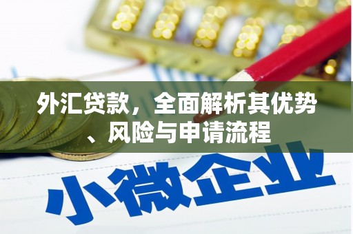 柯坪外汇贷款，全面解析其优势、风险与申请流程