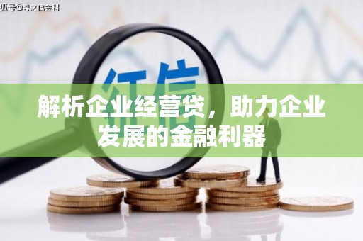 柯坪解析企业经营贷，助力企业发展的金融利器