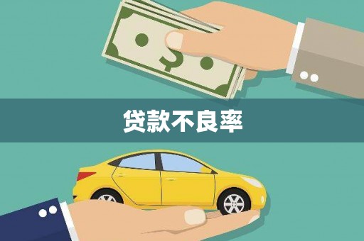 柯坪贷款不良率
