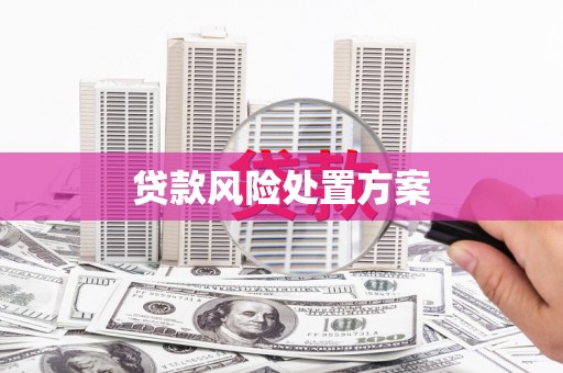 柯坪贷款风险处置方案