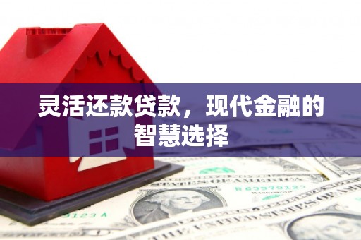 柯坪灵活还款贷款，现代金融的智慧选择
