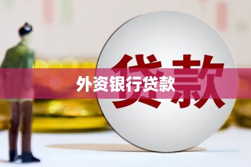 柯坪外资银行贷款