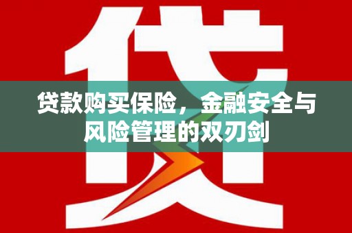 柯坪贷款购买保险，金融安全与风险管理的双刃剑