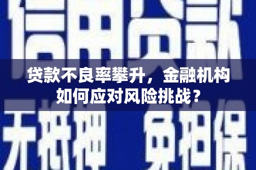 柯坪贷款不良率攀升，金融机构如何应对风险挑战？