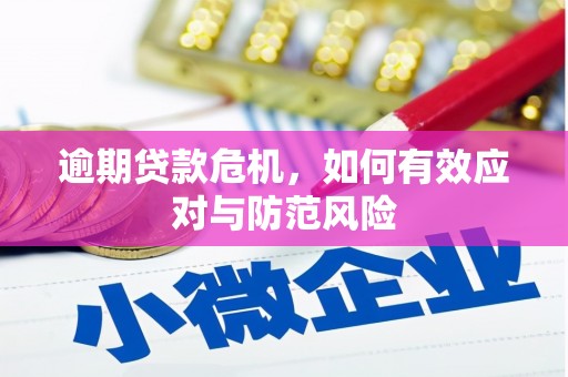 柯坪逾期贷款危机，如何有效应对与防范风险