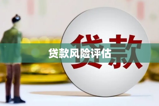 柯坪贷款风险评估