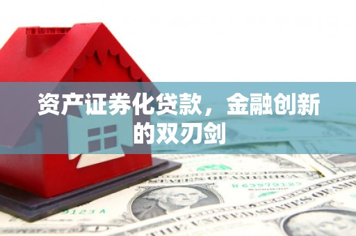 柯坪资产证券化贷款，金融创新的双刃剑