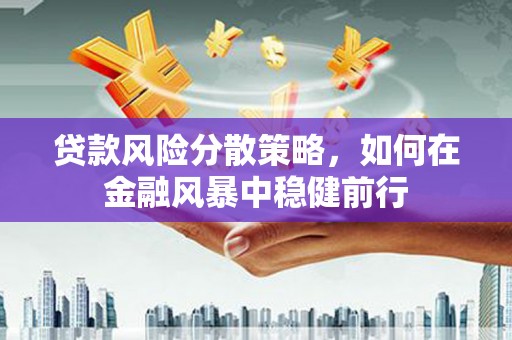 柯坪贷款风险分散策略，如何在金融风暴中稳健前行