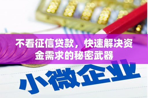柯坪不看征信贷款，快速解决资金需求的秘密武器