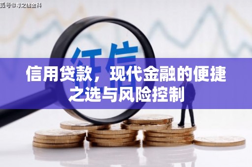 柯坪信用贷款，现代金融的便捷之选与风险控制