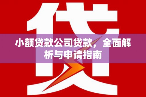 柯坪小额贷款公司贷款，全面解析与申请指南