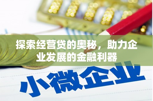 柯坪探索经营贷的奥秘，助力企业发展的金融利器