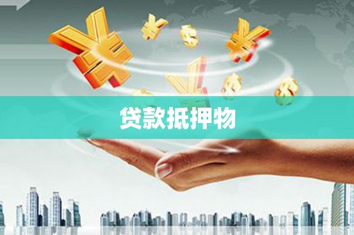 柯坪贷款抵押物