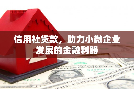 柯坪信用社贷款，助力小微企业发展的金融利器