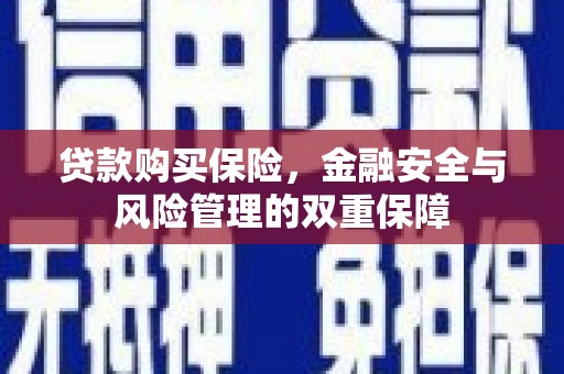 柯坪贷款购买保险，金融安全与风险管理的双重保障