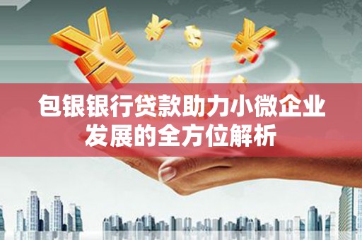 柯坪包银银行贷款助力小微企业发展的全方位解析