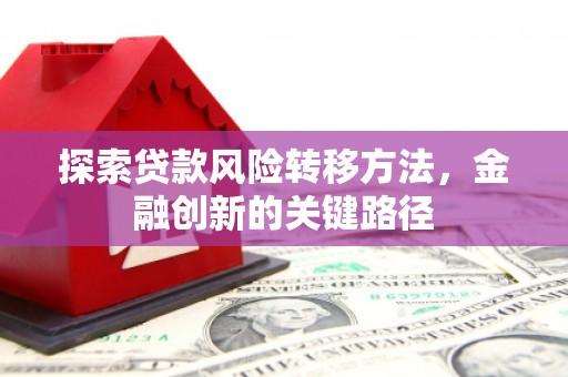 柯坪探索贷款风险转移方法，金融创新的关键路径