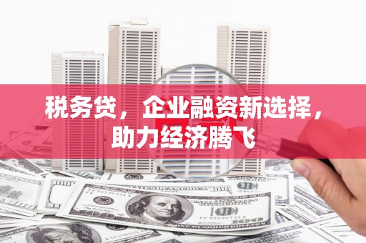 柯坪税务贷，企业融资新选择，助力经济腾飞