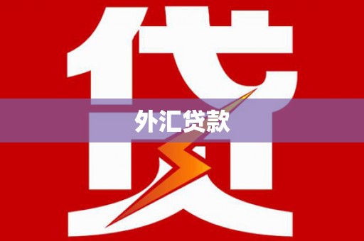 柯坪外汇贷款