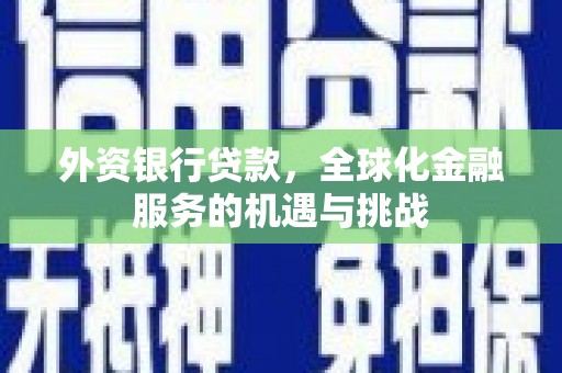 柯坪外资银行贷款，全球化金融服务的机遇与挑战
