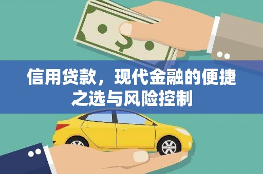 柯坪信用贷款，现代金融的便捷之选与风险控制