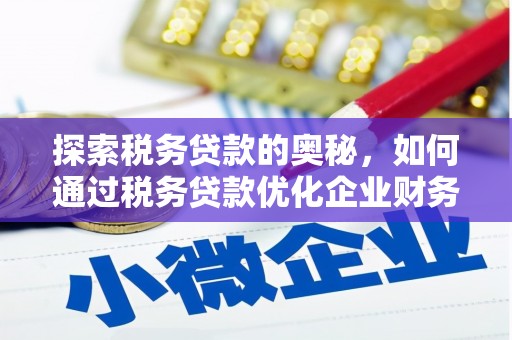 柯坪探索税务贷款的奥秘，如何通过税务贷款优化企业财务