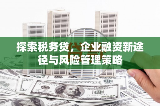 柯坪探索税务贷，企业融资新途径与风险管理策略