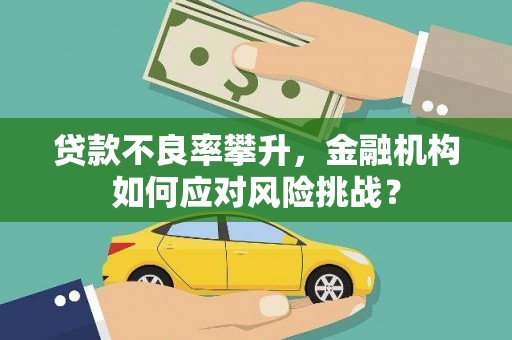 柯坪贷款不良率攀升，金融机构如何应对风险挑战？