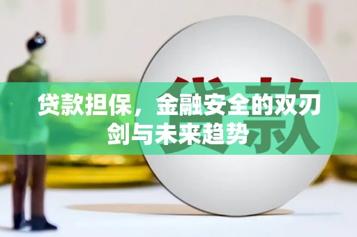 柯坪贷款担保，金融安全的双刃剑与未来趋势