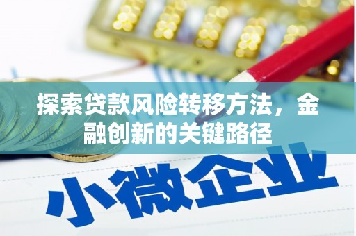 柯坪探索贷款风险转移方法，金融创新的关键路径