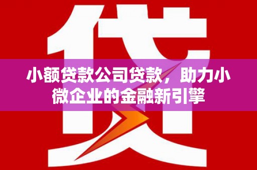 柯坪小额贷款公司贷款，助力小微企业的金融新引擎