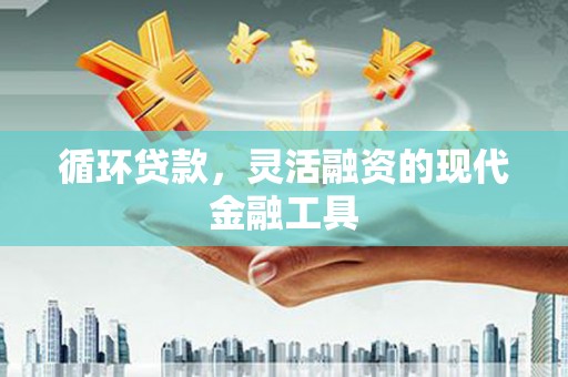 柯坪循环贷款，灵活融资的现代金融工具
