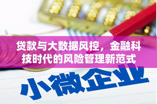 柯坪贷款与大数据风控，金融科技时代的风险管理新范式