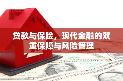 柯坪贷款与保险，现代金融的双重保障与风险管理