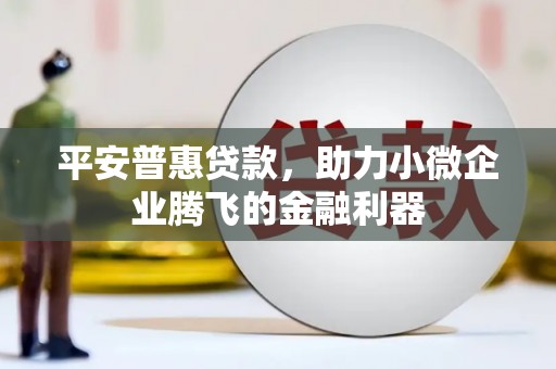 柯坪平安普惠贷款，助力小微企业腾飞的金融利器