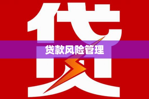 柯坪贷款风险管理