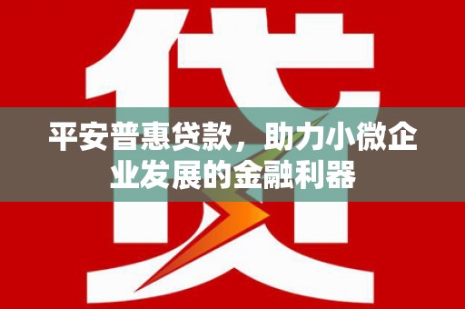柯坪平安普惠贷款，助力小微企业发展的金融利器