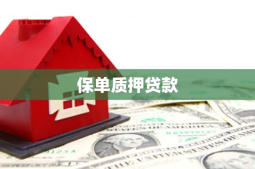 柯坪保单质押贷款