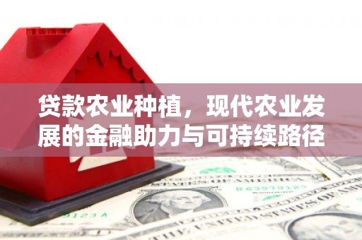 柯坪贷款农业种植，现代农业发展的金融助力与可持续路径