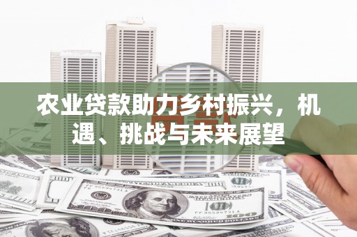 柯坪农业贷款助力乡村振兴，机遇、挑战与未来展望