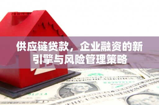 柯坪供应链贷款，企业融资的新引擎与风险管理策略