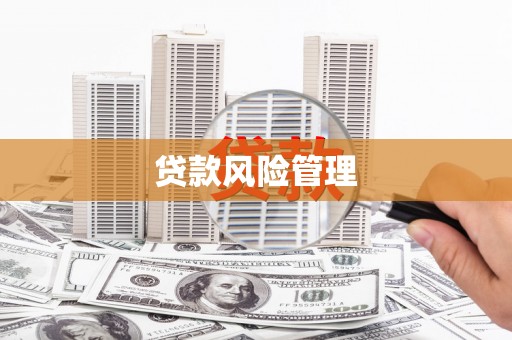 柯坪贷款风险管理