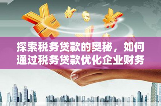 柯坪探索税务贷款的奥秘，如何通过税务贷款优化企业财务
