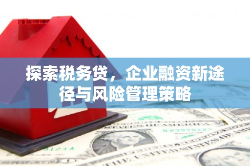 柯坪探索税务贷，企业融资新途径与风险管理策略