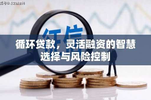 柯坪循环贷款，灵活融资的智慧选择与风险控制