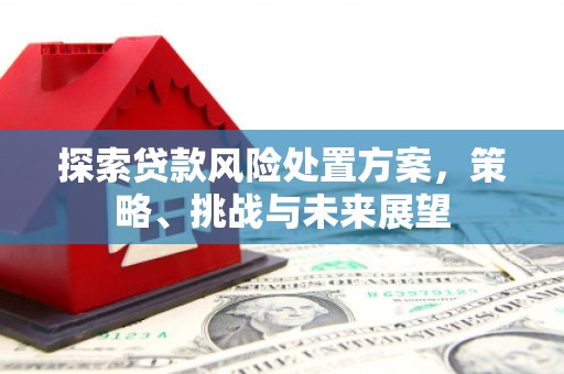 柯坪探索贷款风险处置方案，策略、挑战与未来展望
