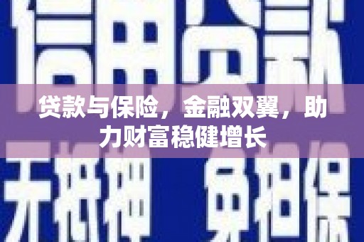 柯坪贷款与保险，金融双翼，助力财富稳健增长
