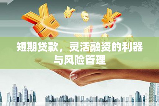 柯坪短期贷款，灵活融资的利器与风险管理